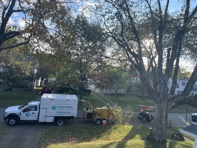 Kevin Masters Arborist Services