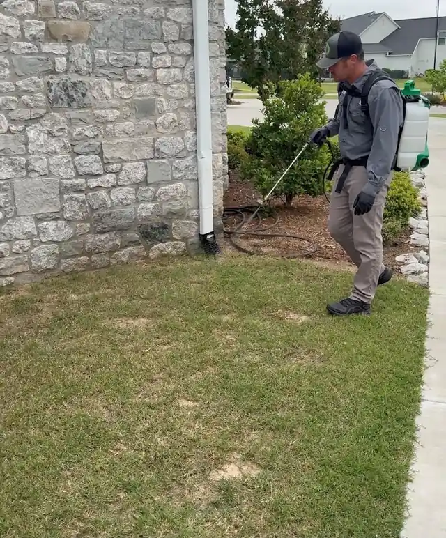 Kings Pest Control Hollywood