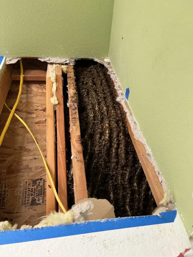 Kritscher Apiaries