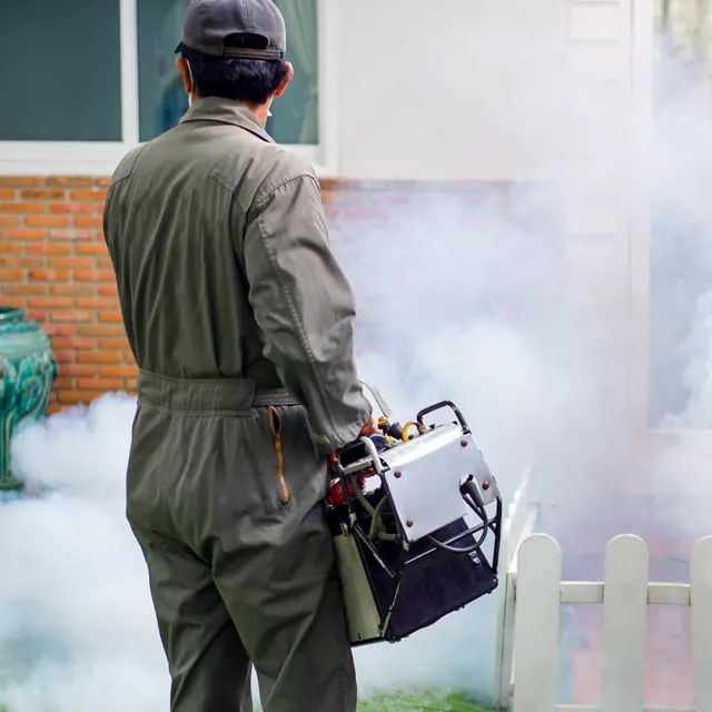 LA Rodent Exterminator Control & Removal