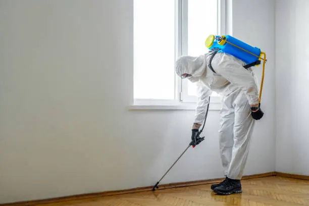 Lancaster Pest Control Pest Control Services