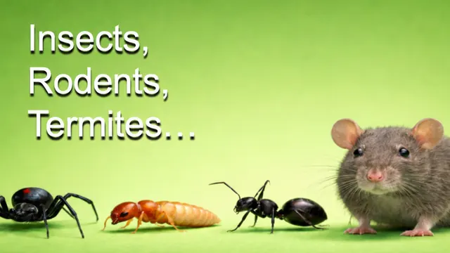 Leaf Pest Management