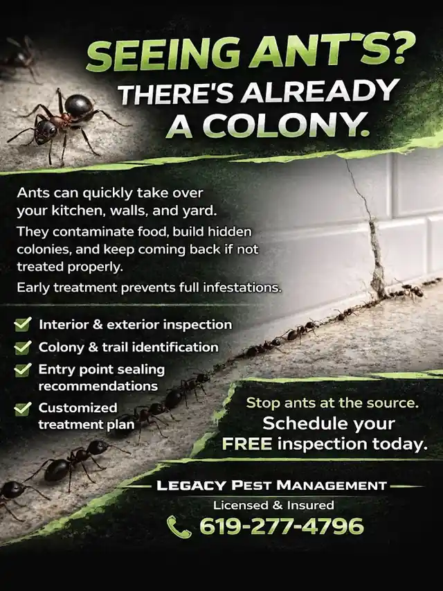 Legacy Pest Management