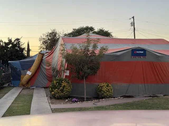 Lone Ranger Solutions Pest Control