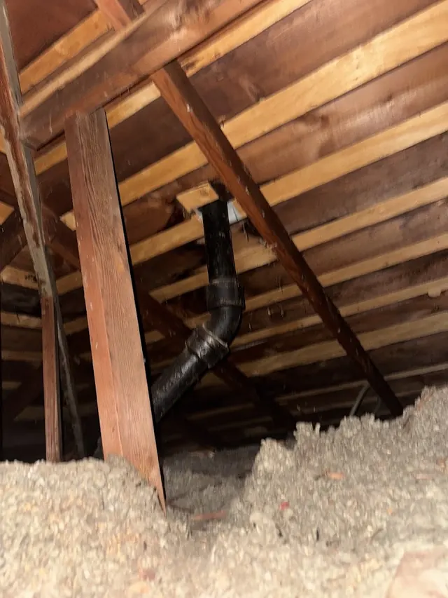 Master Rodent Control