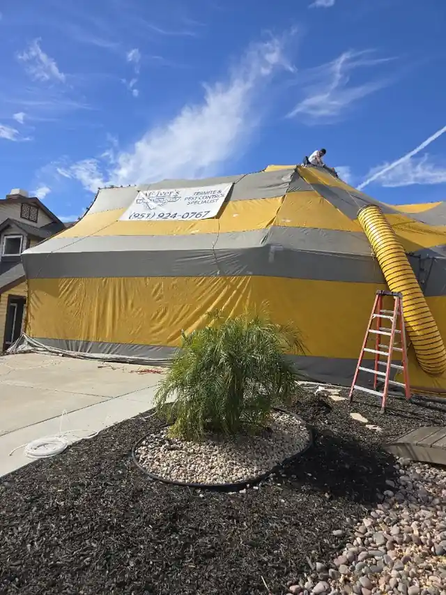 McIver's Exterminators & General Contractors