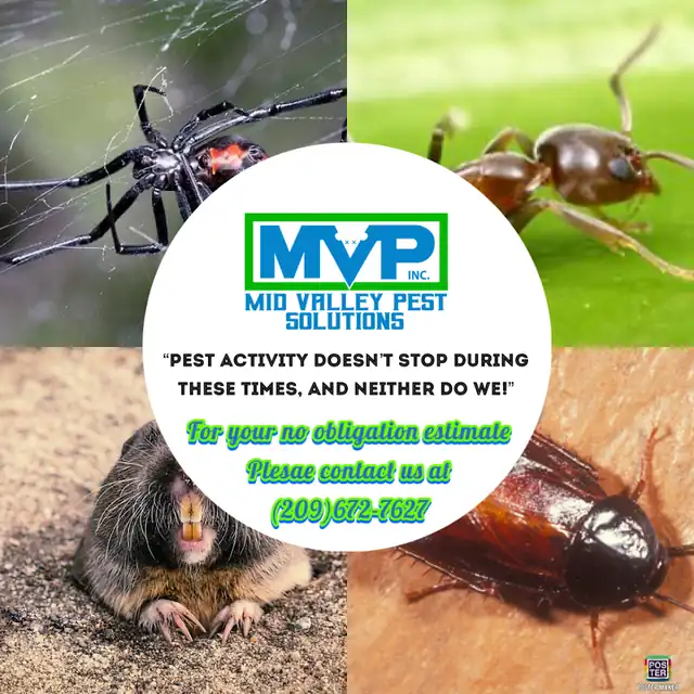 Mid Valley Pest Solutions, Inc.
