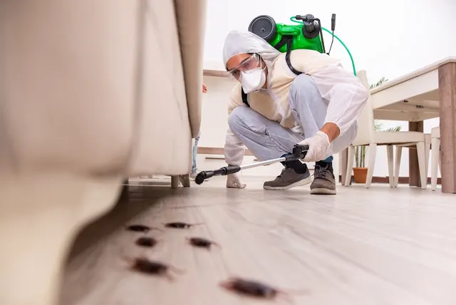 Moat Termite & Pest Control