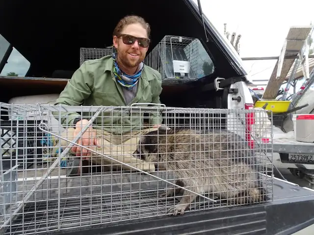 Monterey Wildlife Control