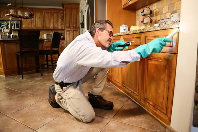 Morton Pest Control Inc