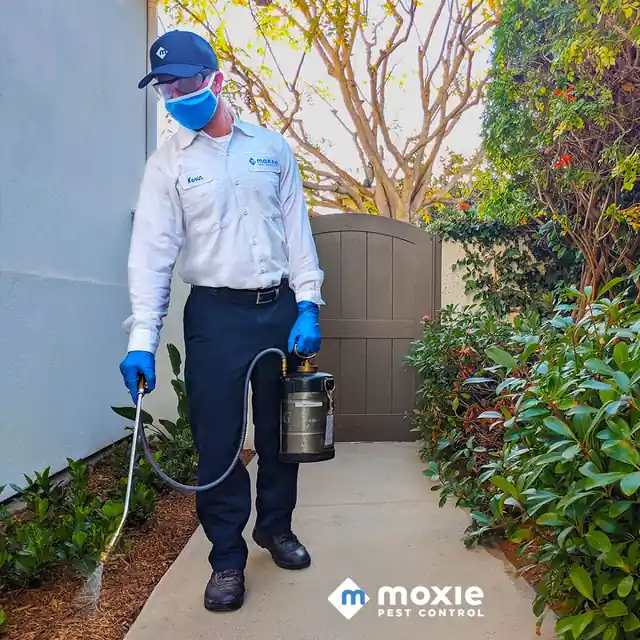Moxie Pest Control