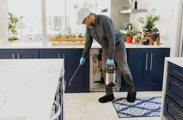 MR. Pest Control Los Angeles