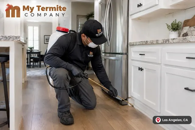 My Termite Company