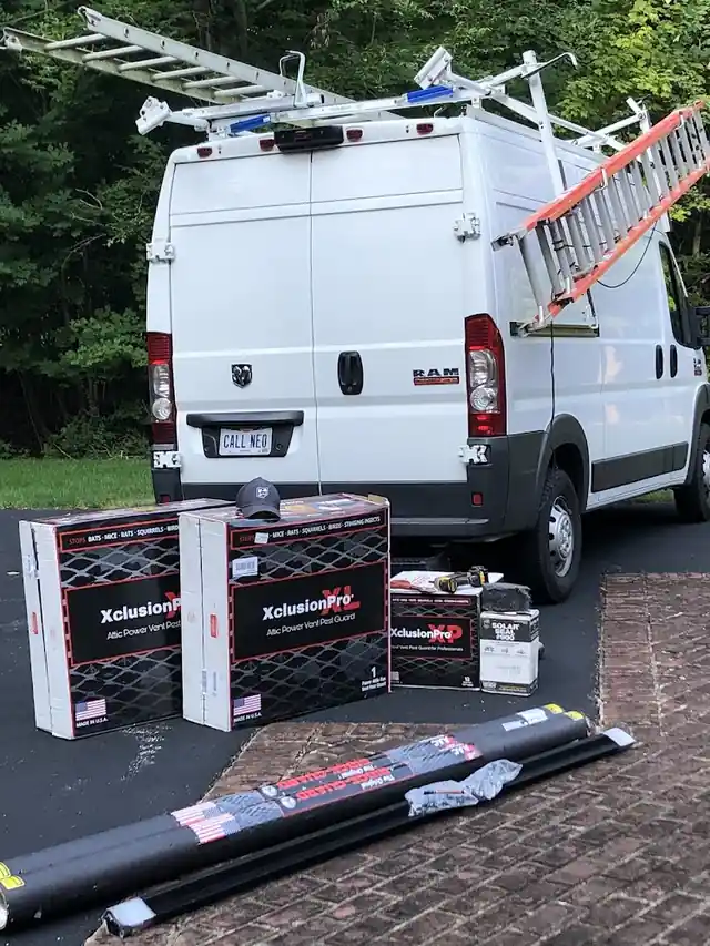NEO Wildlife Removal