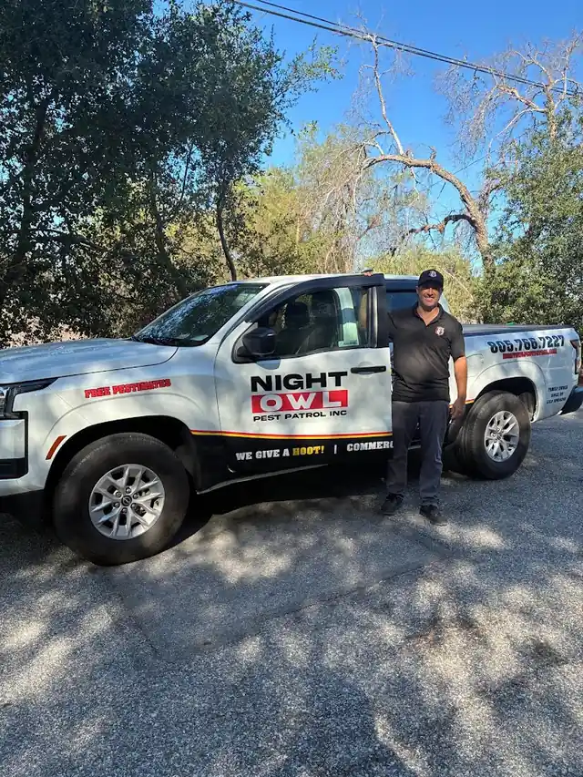 Night Owl Pest Patrol