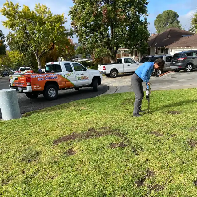 No Bugs Termite and Pest Control Inc.