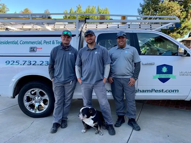 Nottingham Pest Control