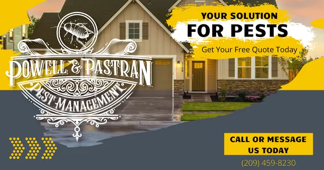 Nottingham Pest Control