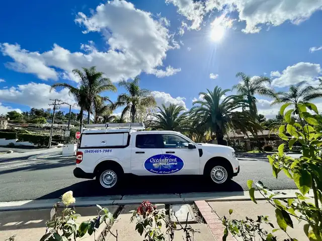 Oceanfront Pest Control