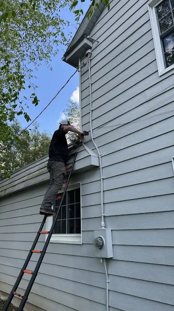 Ohio Wildlife Removal