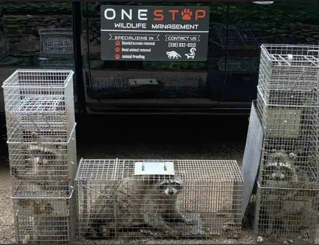 ONE STOP WILDLIFE MANAGEMENT