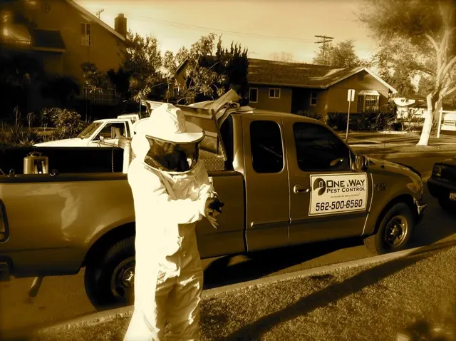 One Way Pest Control