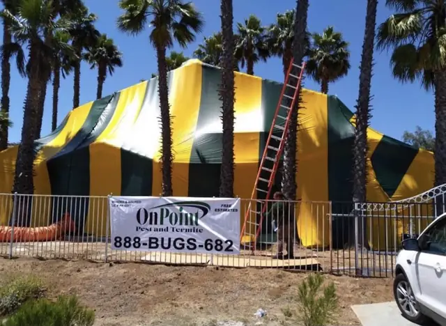 Onpoint Pest Solutions