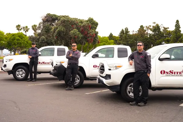 OnSite Pest Management