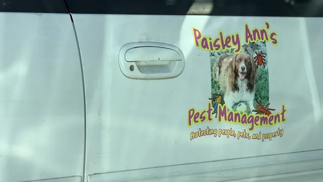 Paisley Ann's Pest Management