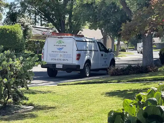 Paradise pest control of Modesto
