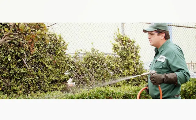 Performance Pest Management