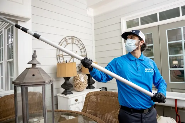 Pest Authority of Dayton