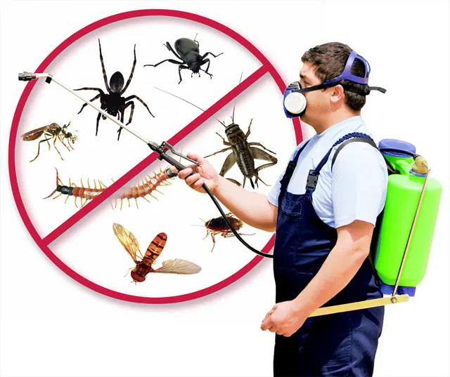 Pest Control Pros