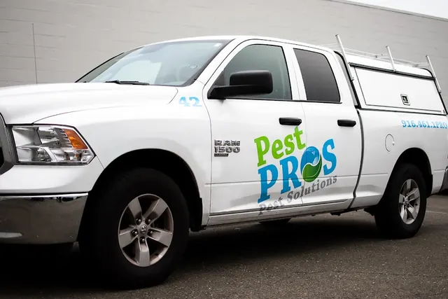 Pest Pros Pest Solutions