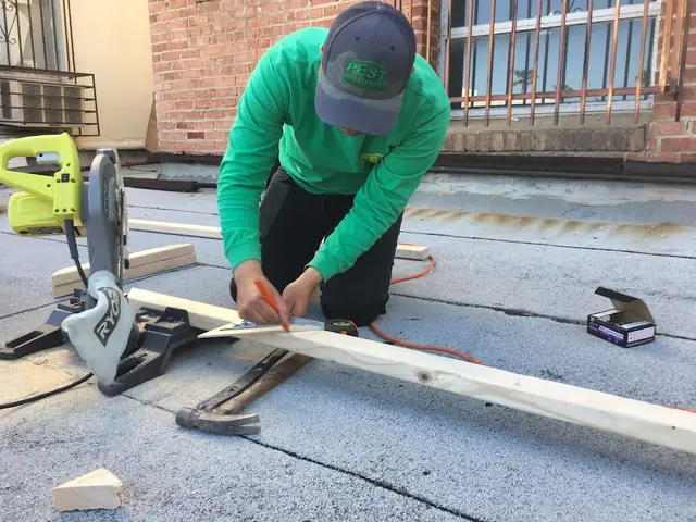 Pest Solutions Termite & Pest Control