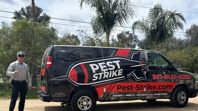 Pest Strike