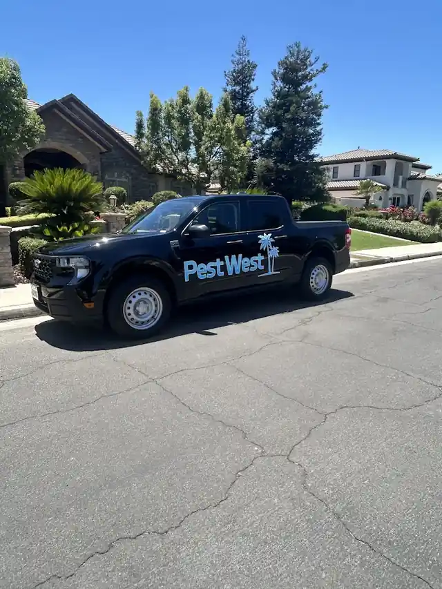 Pest West Bakersfield