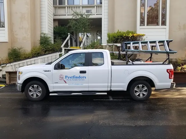 Pestfinders Pest and Termite Services