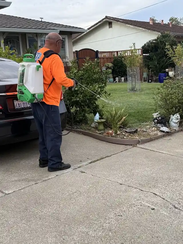 Pesti pest control