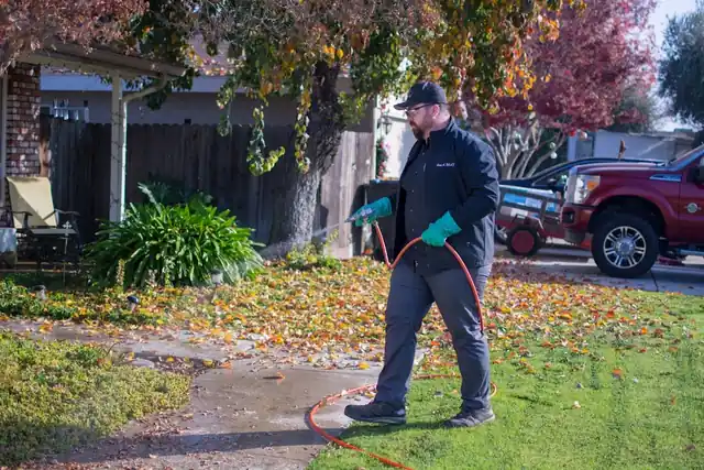 PestKiller Services