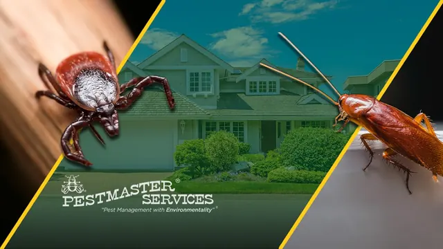 Pestmaster Services