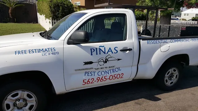 PINAS PEST CONTROL