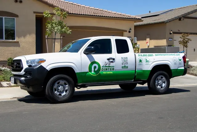 Pointer Pest Control