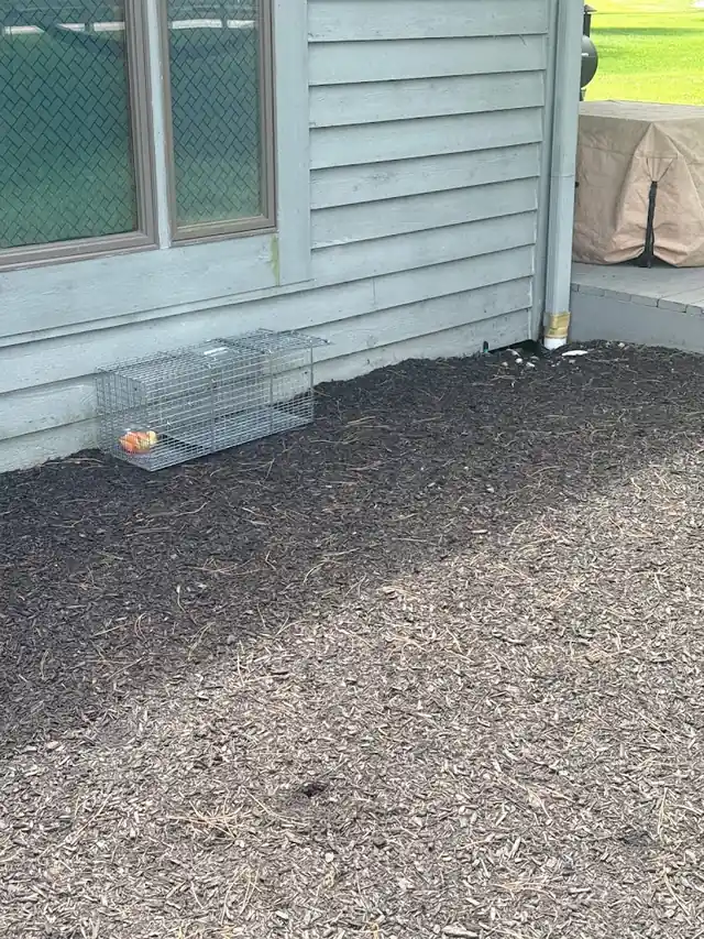 Prestige Pest Solutions