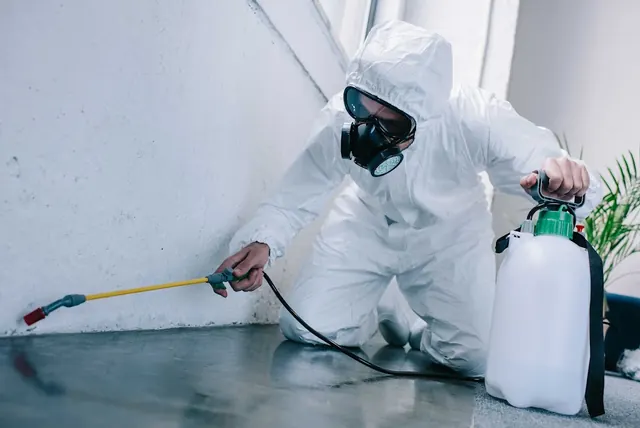 Prime Pest Control San Jose