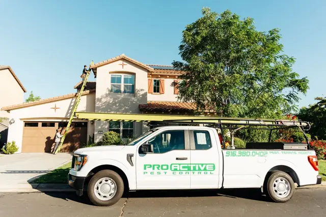 Pro Active Pest Control
