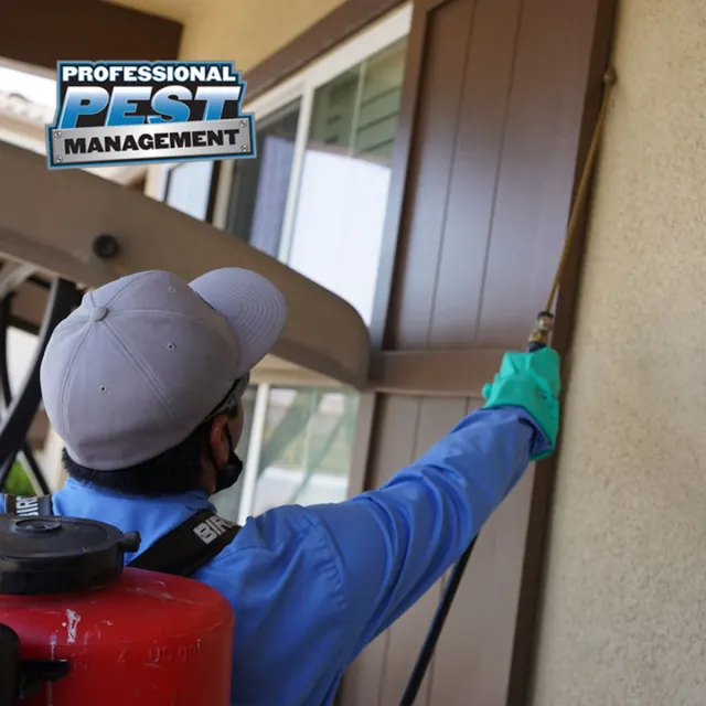 Professional Pest Management
