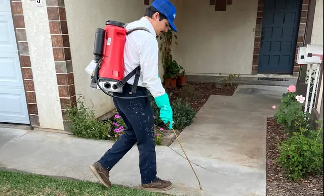 Prolific Pest Control