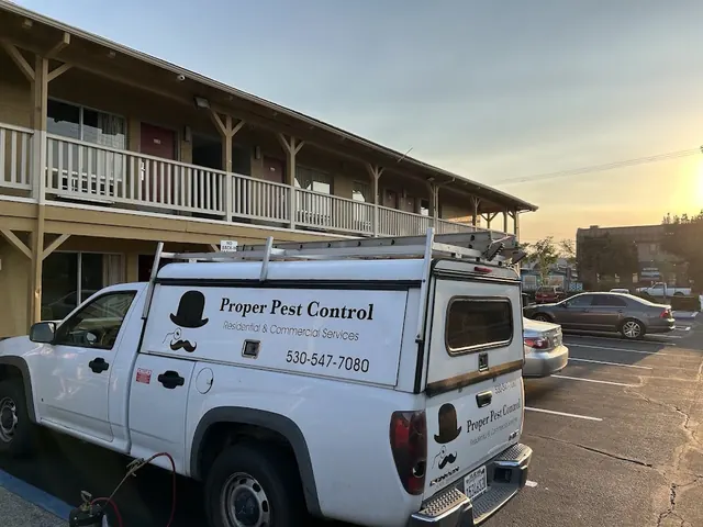 Proper Pest Control