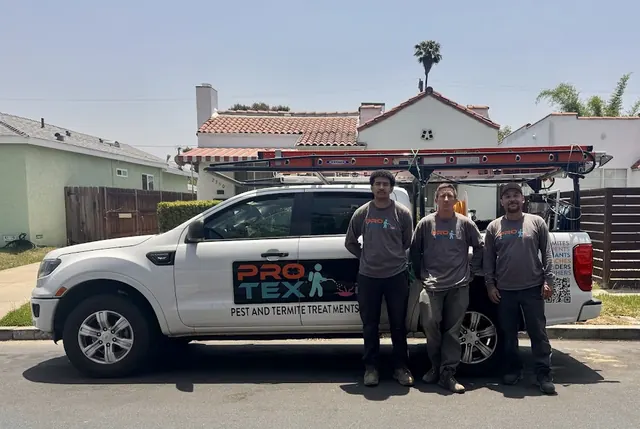 Protex Pest and Termite Treatments
